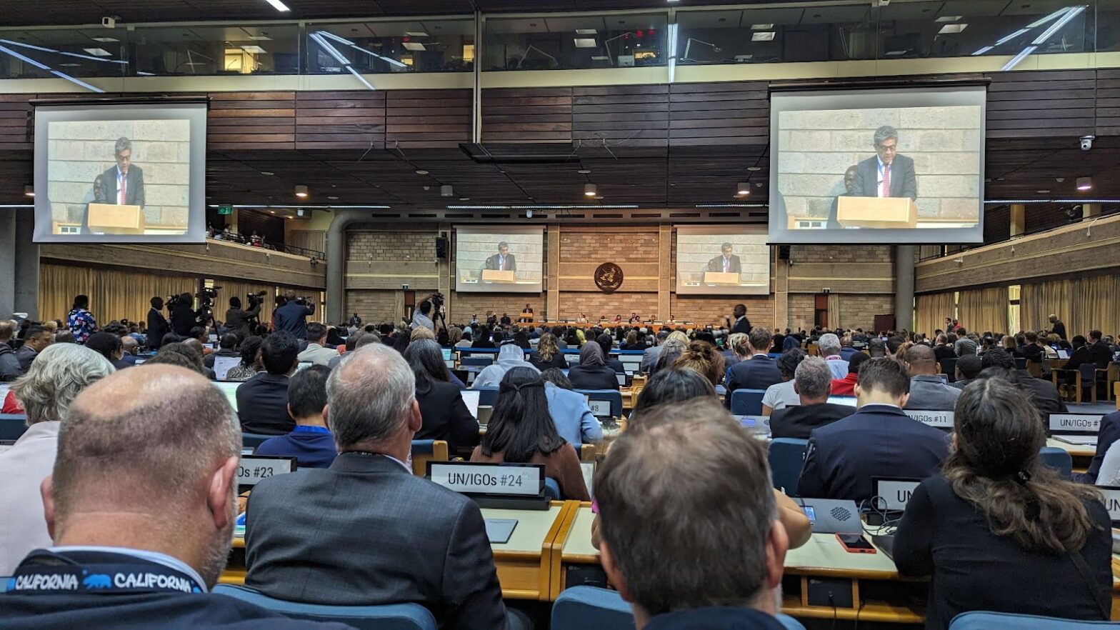 Ambassador Gustavo Meza-Cuadra Velásquez, Chair of the INC, at the podium giving his opening statement. Photo by Sam Winton.