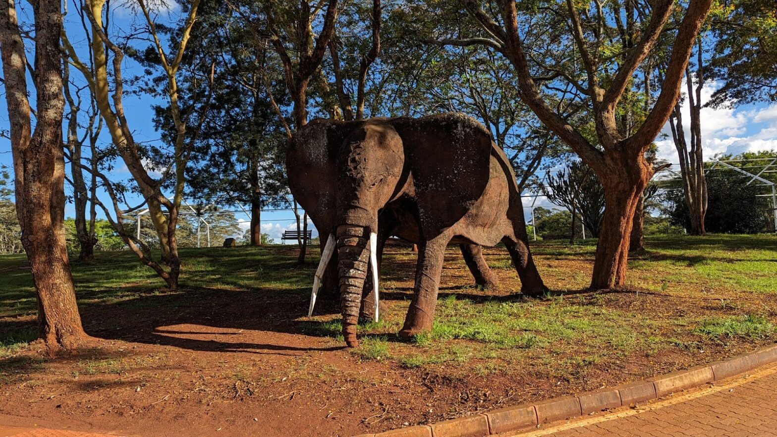 Artwork in the UNEP compound. Photo by Sam Winton.